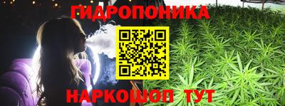 сатива Комсомольск-на-Амуре