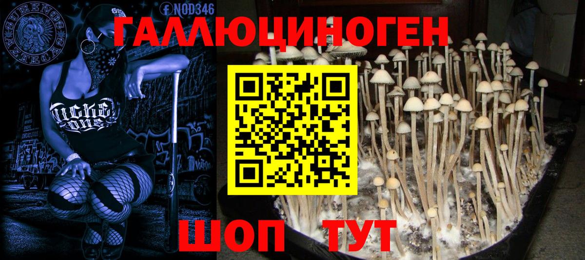 Томск  Галлюциногенные грибы прущие грибы  Галлюциногенные грибы Psilocybe  сколько стоит  Вход с VPN 