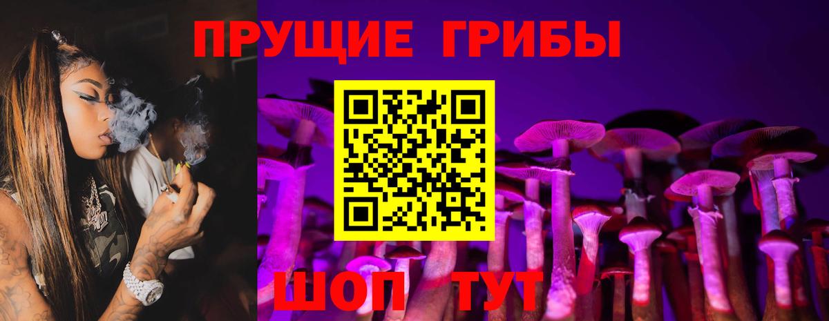 Галлюциногенные грибы мицелий Томск